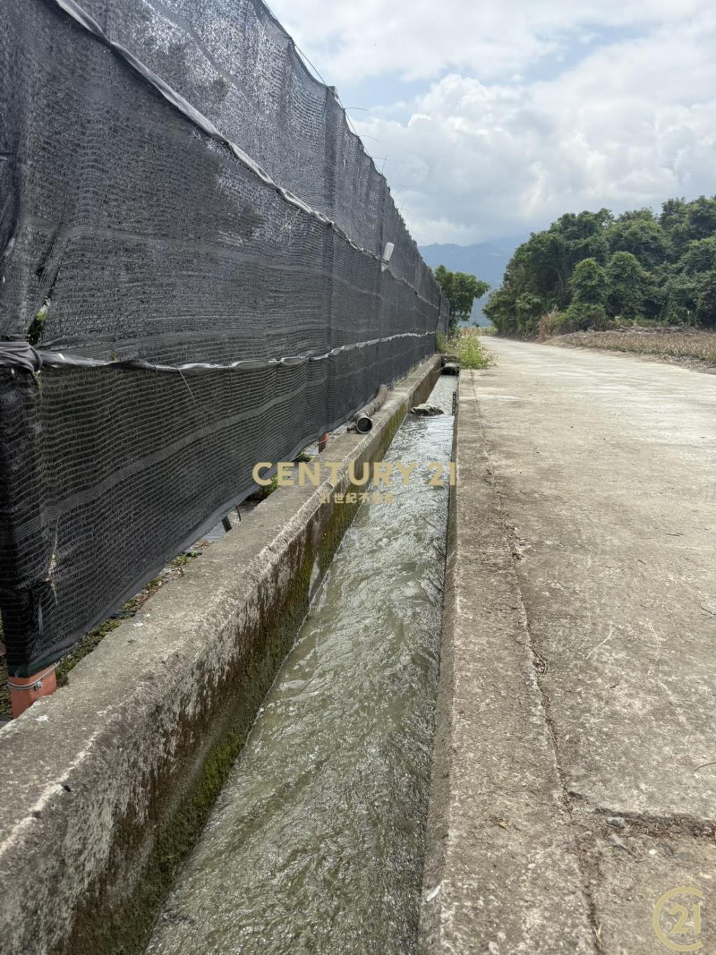 有機茶園方正農地