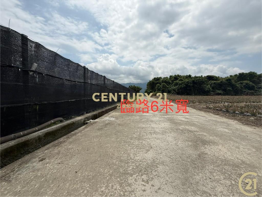 有機茶園方正農地