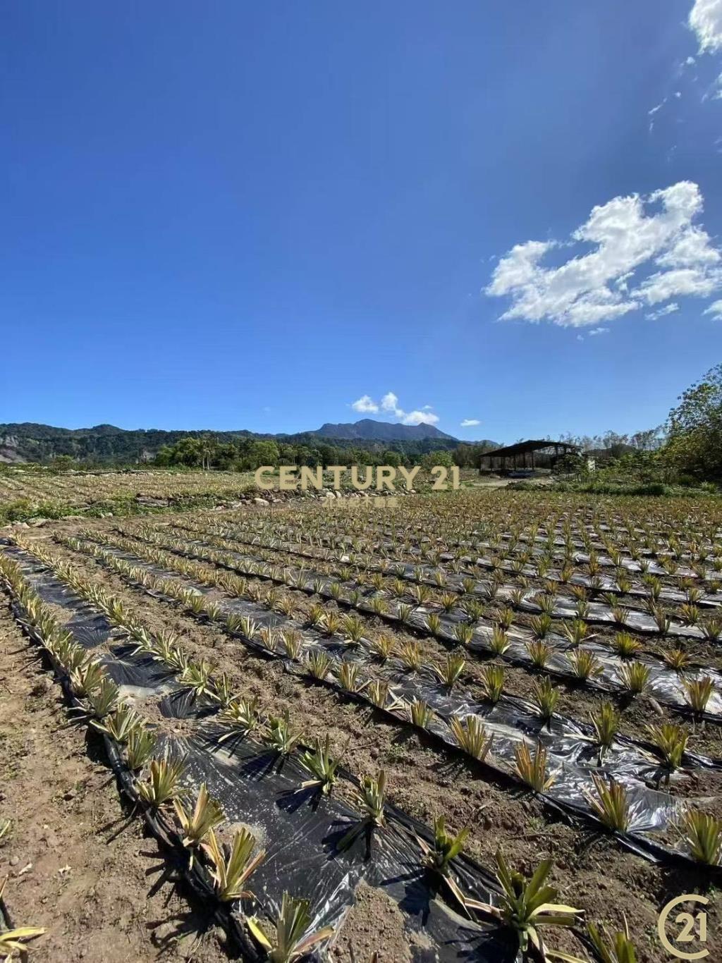 瑞源景觀三合院+農地