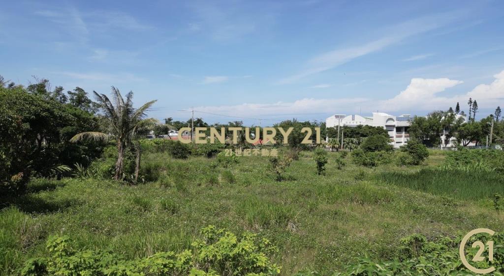 都蘭國中旁海景美農地