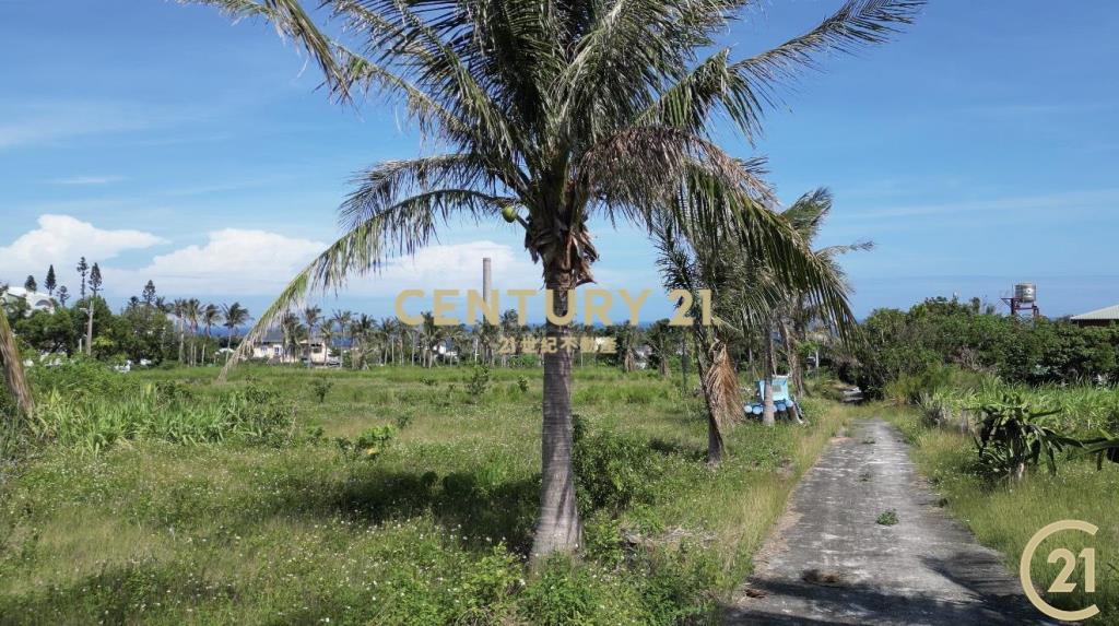 都蘭國中旁海景美農地