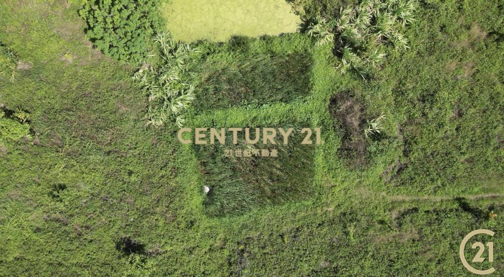 都蘭國中旁海景美農地