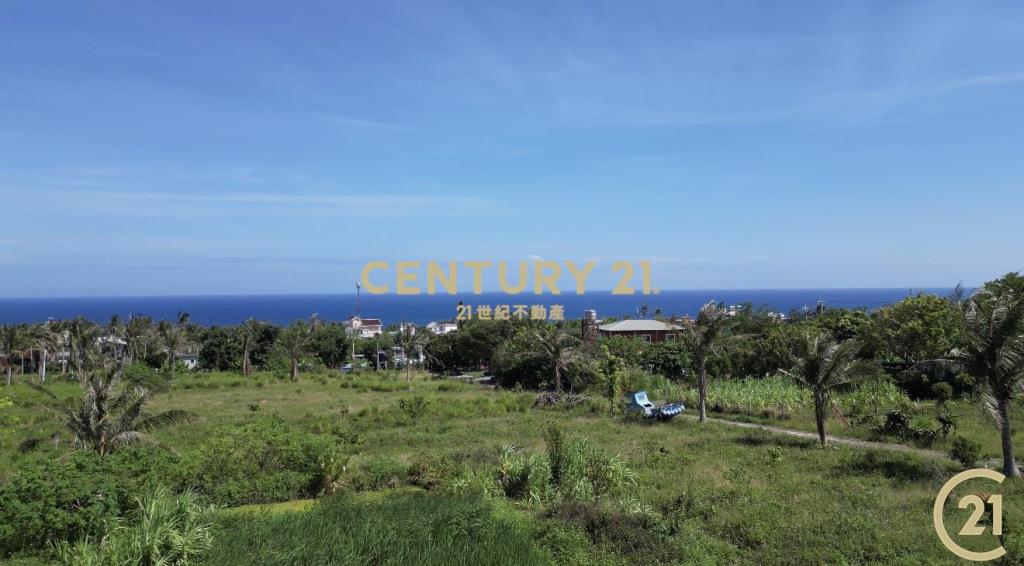 都蘭國中旁海景美農地