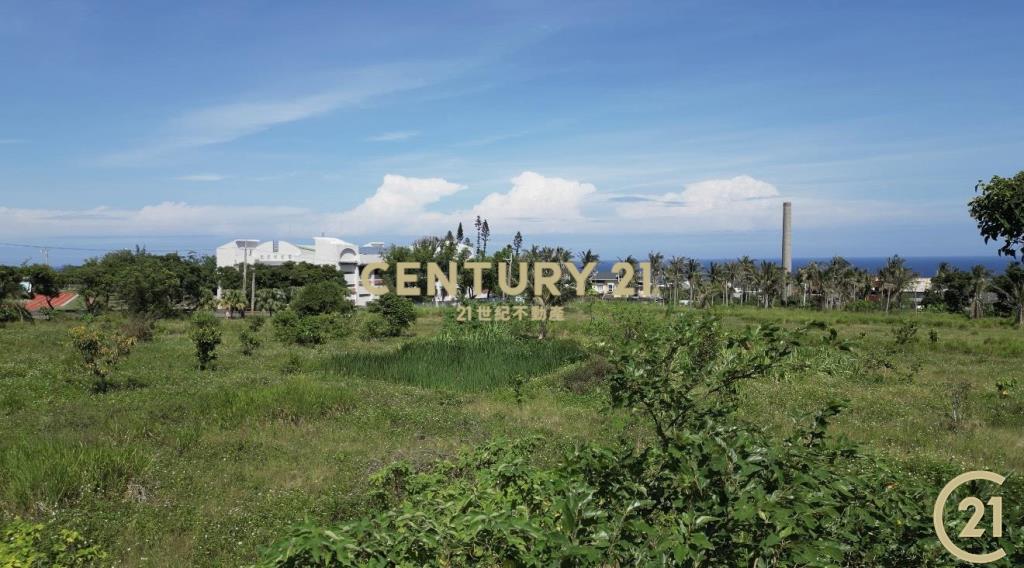 都蘭國中旁海景美農地