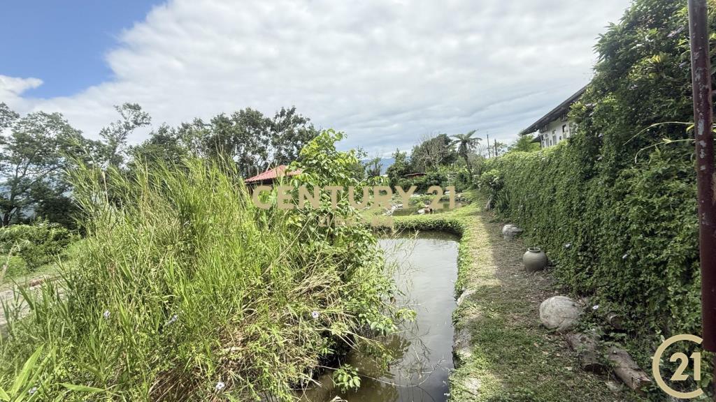 池上風禾慢旅合法農舍