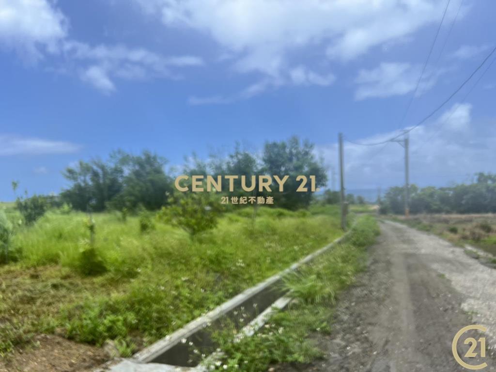 八嗡嗡海景農地A