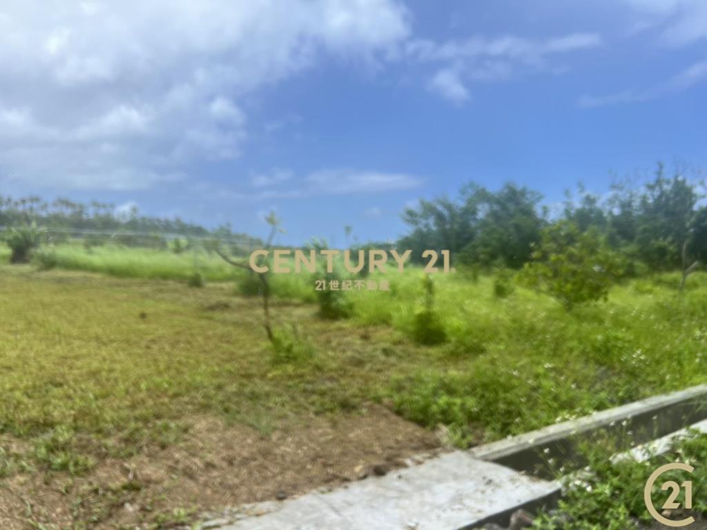 八嗡嗡海景農地A