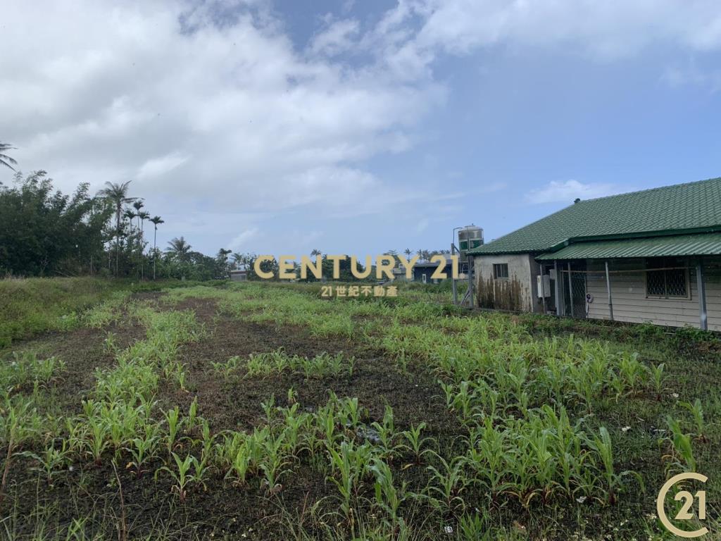 八嗡嗡雙臨路海景農地