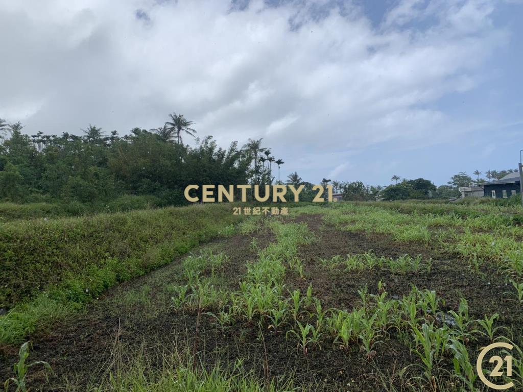 八嗡嗡雙臨路海景農地