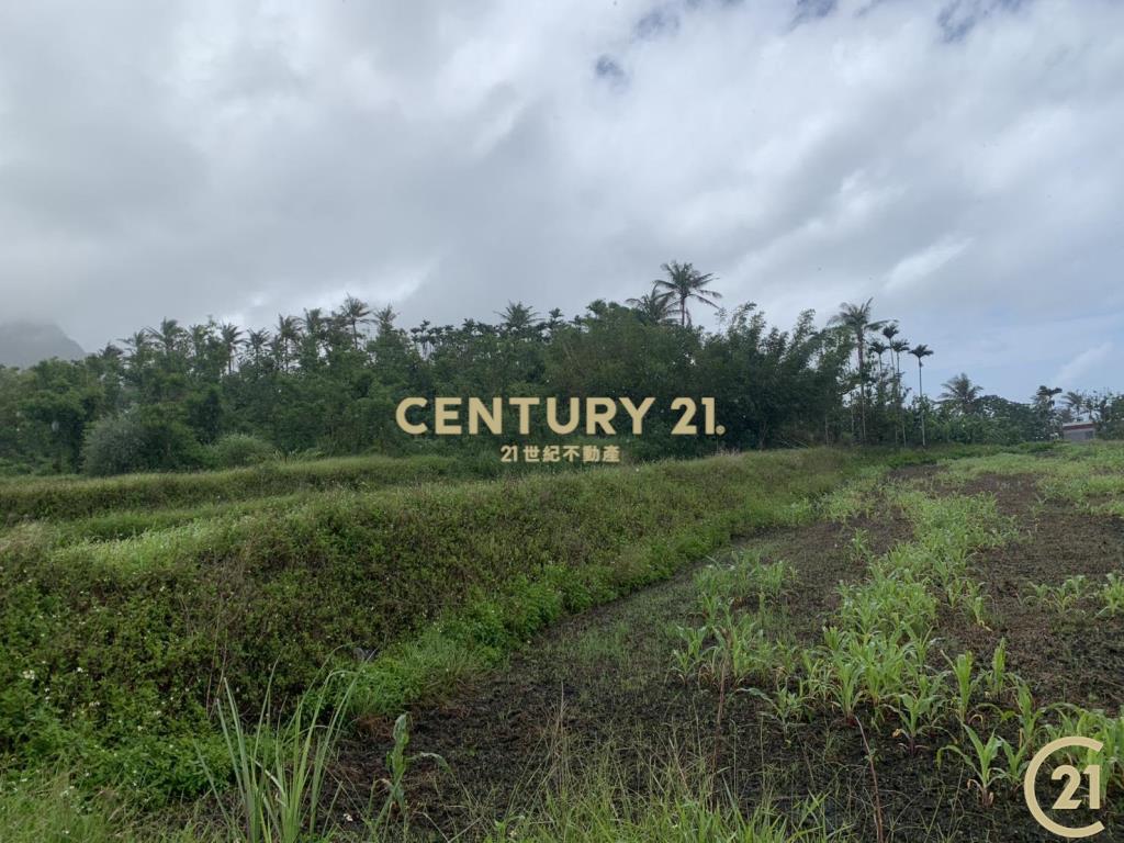 八嗡嗡雙臨路海景農地