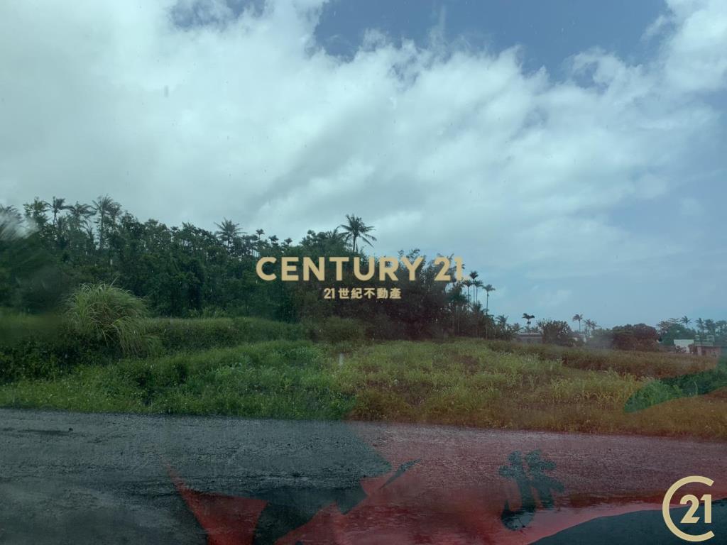 八嗡嗡雙臨路海景農地