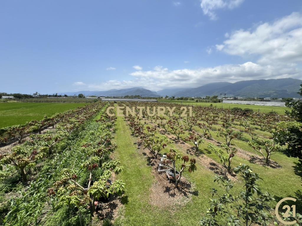 夏雪雙臨路5分農地