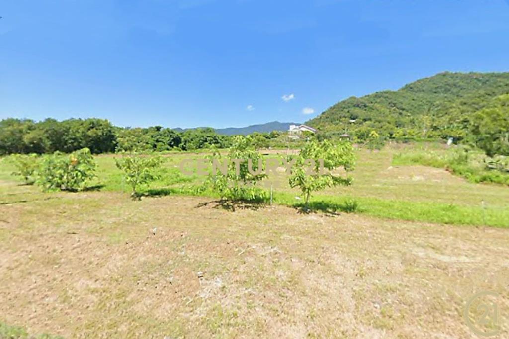 利民路美景露營農地