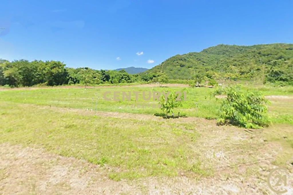 利民路美景露營農地