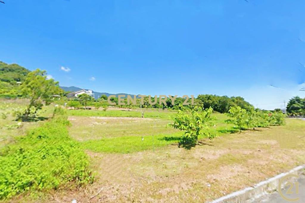 利民路美景露營農地