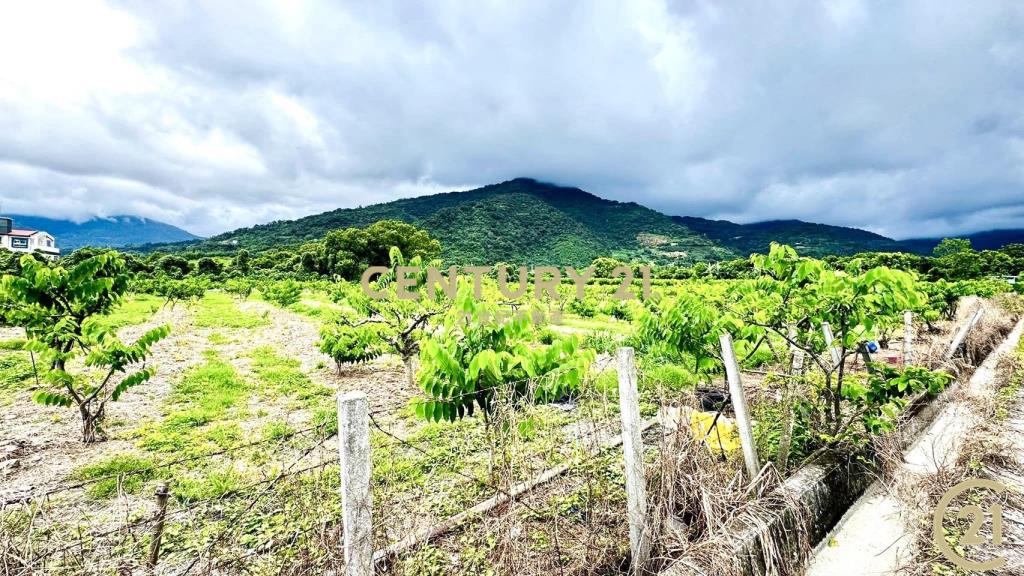 太平方正好農地