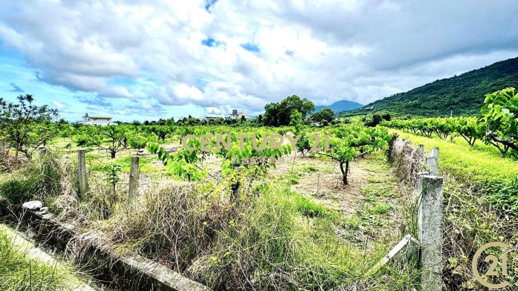 太平方正好農地