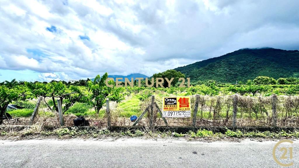 太平方正好農地