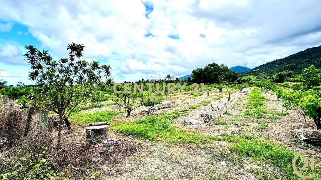 太平方正好農地