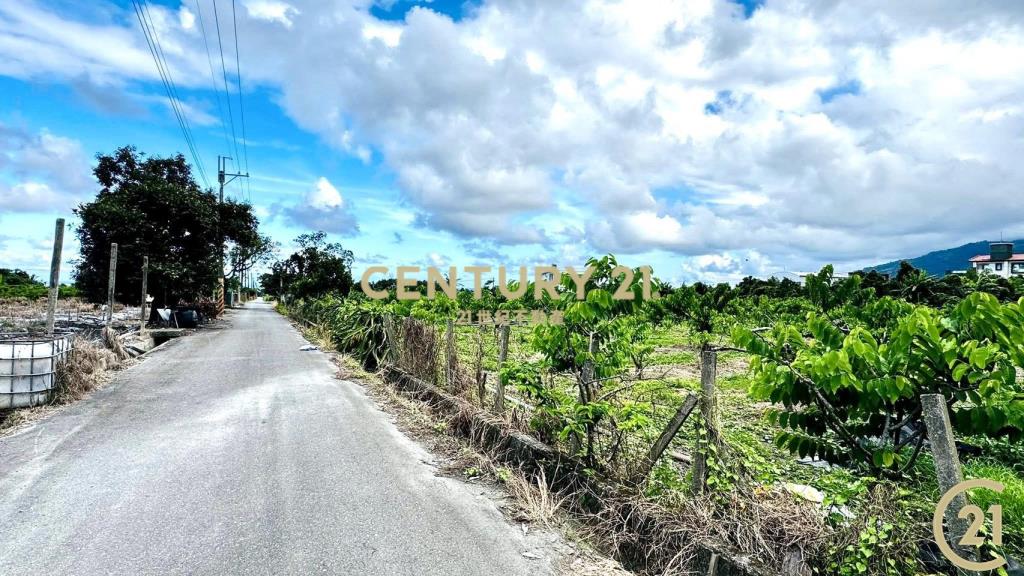 太平方正好農地