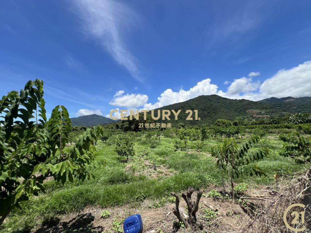 太平方正好農地