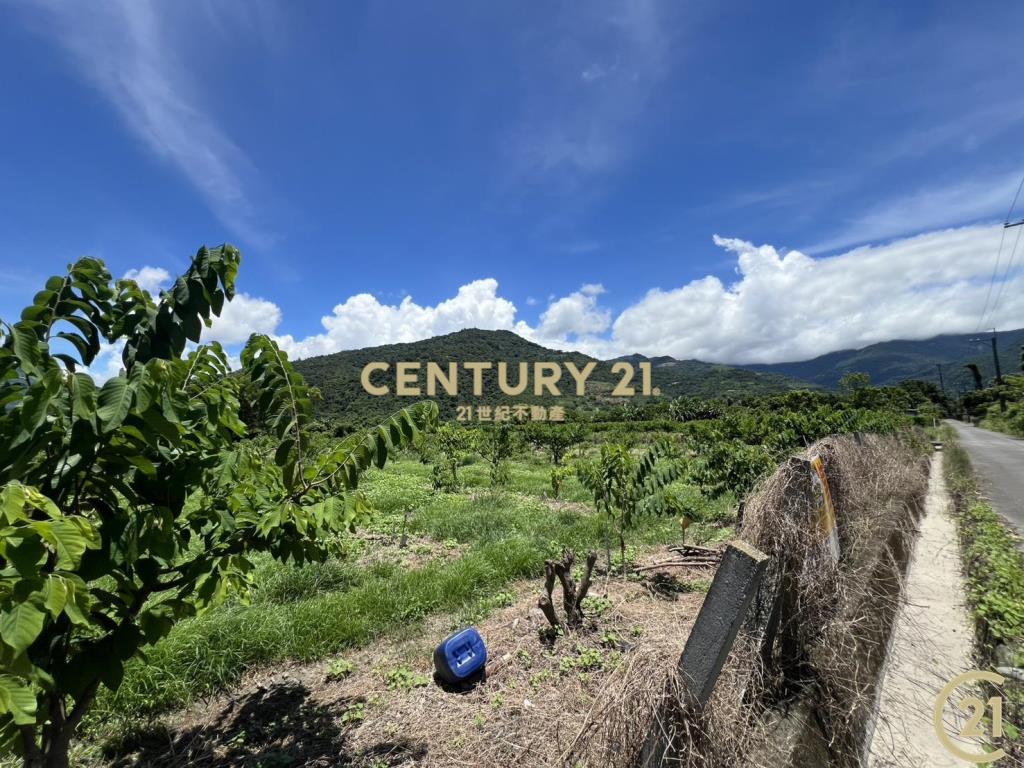 太平方正好農地