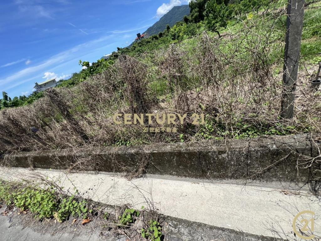 太平方正好農地