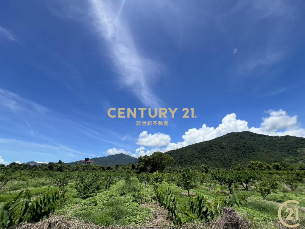 太平方正好農地