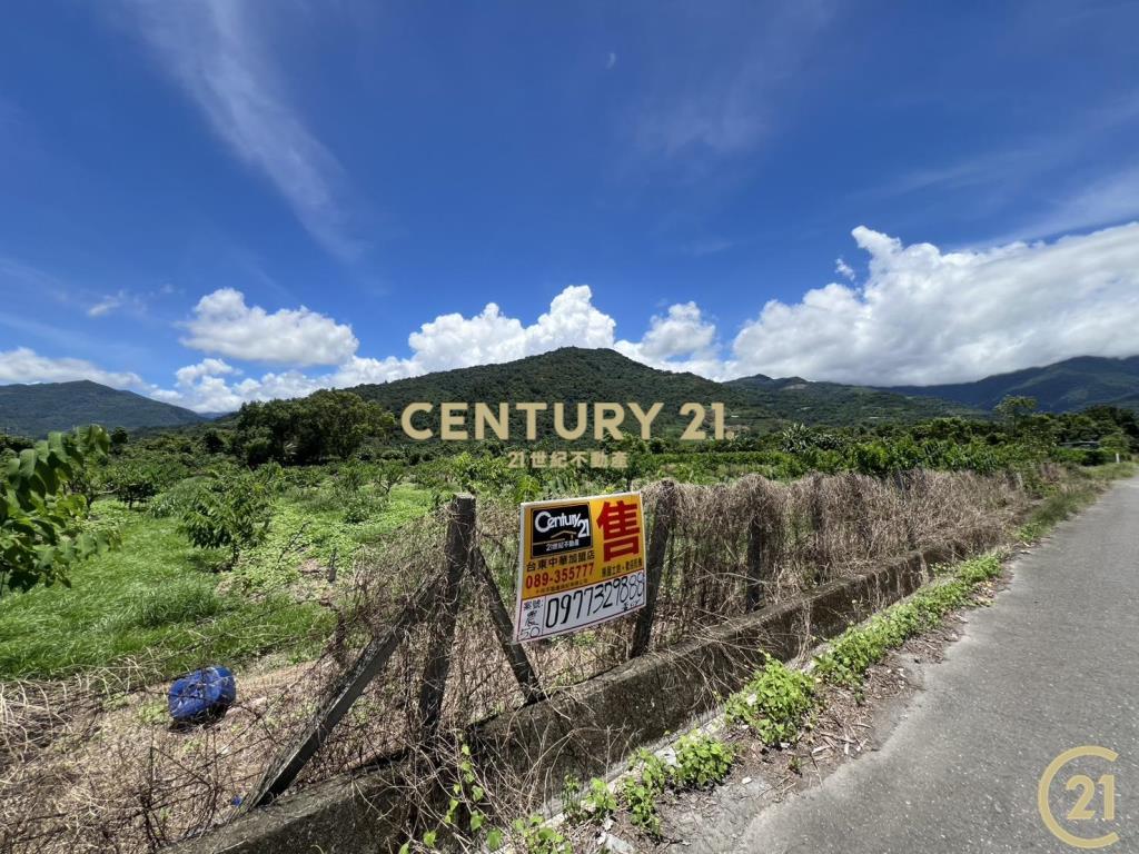 太平方正好農地