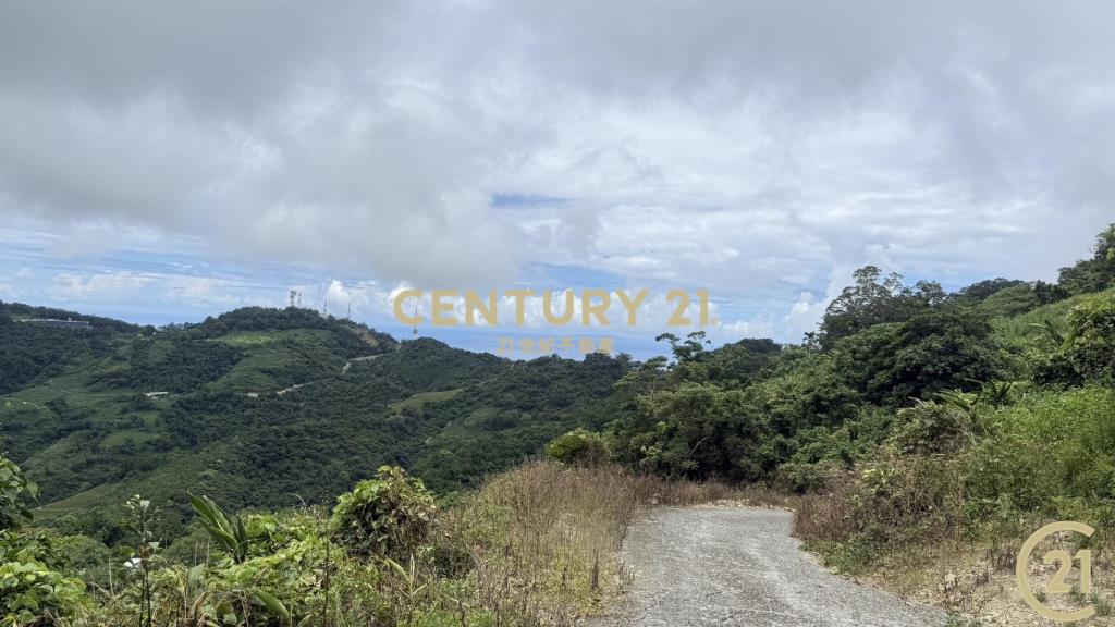 樂山大面積投資農地