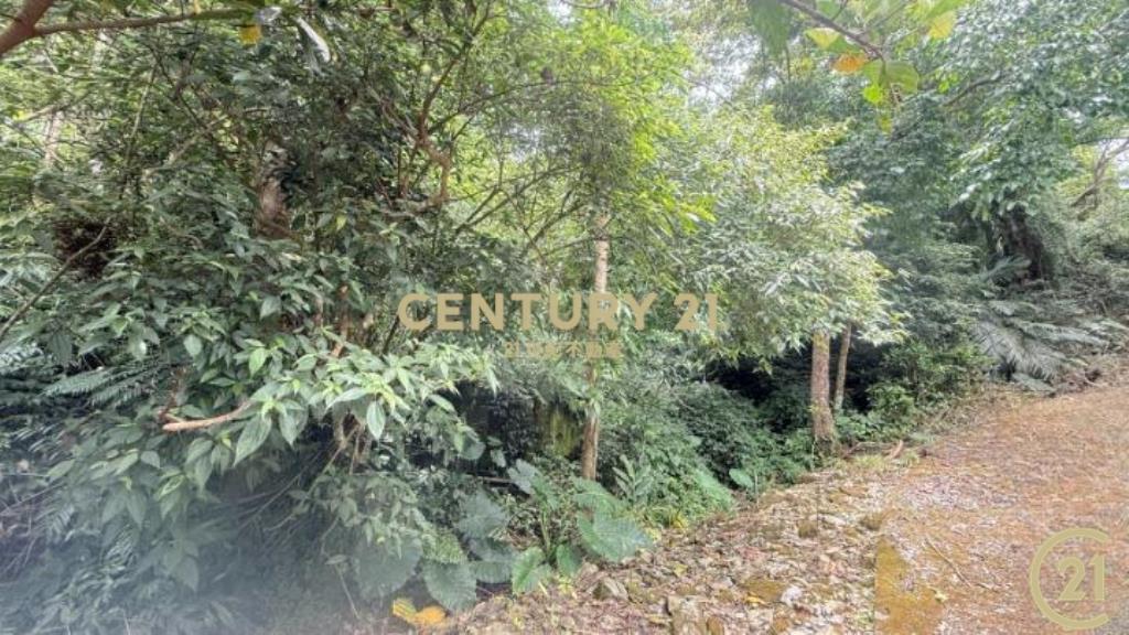 樂山大面積投資農地