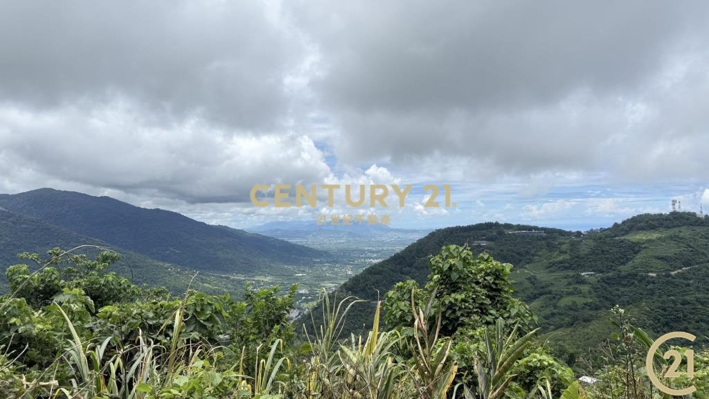 樂山大面積投資農地