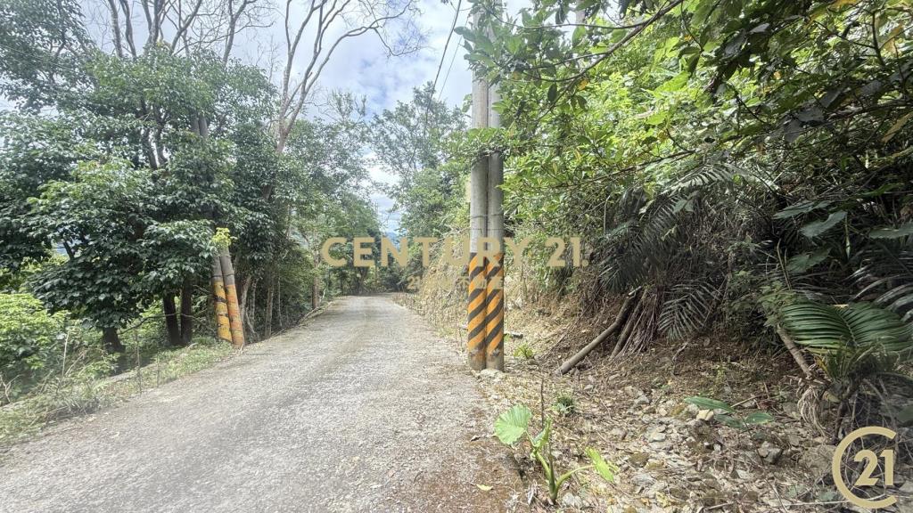 樂山大面積投資農地