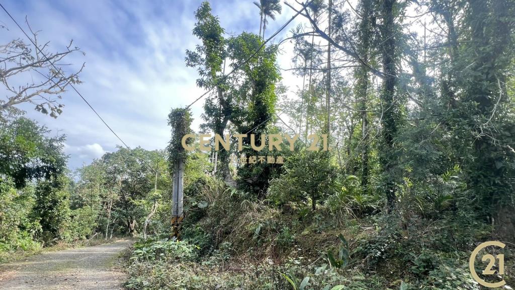 樂山大面積投資農地