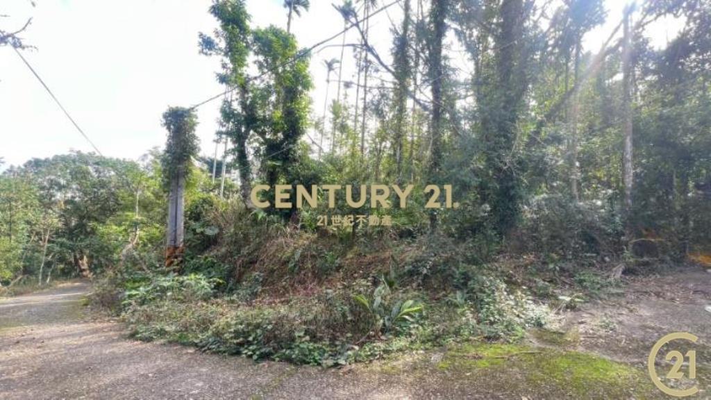 樂山大面積投資農地