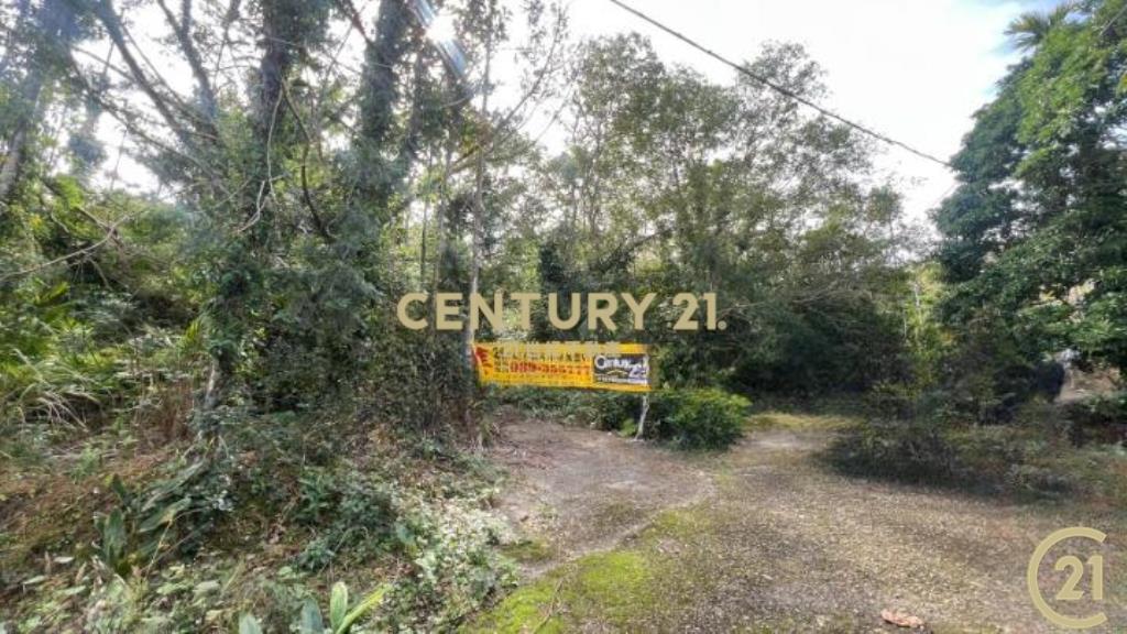 樂山大面積投資農地