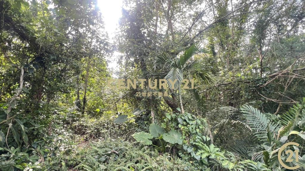 樂山大面積投資農地