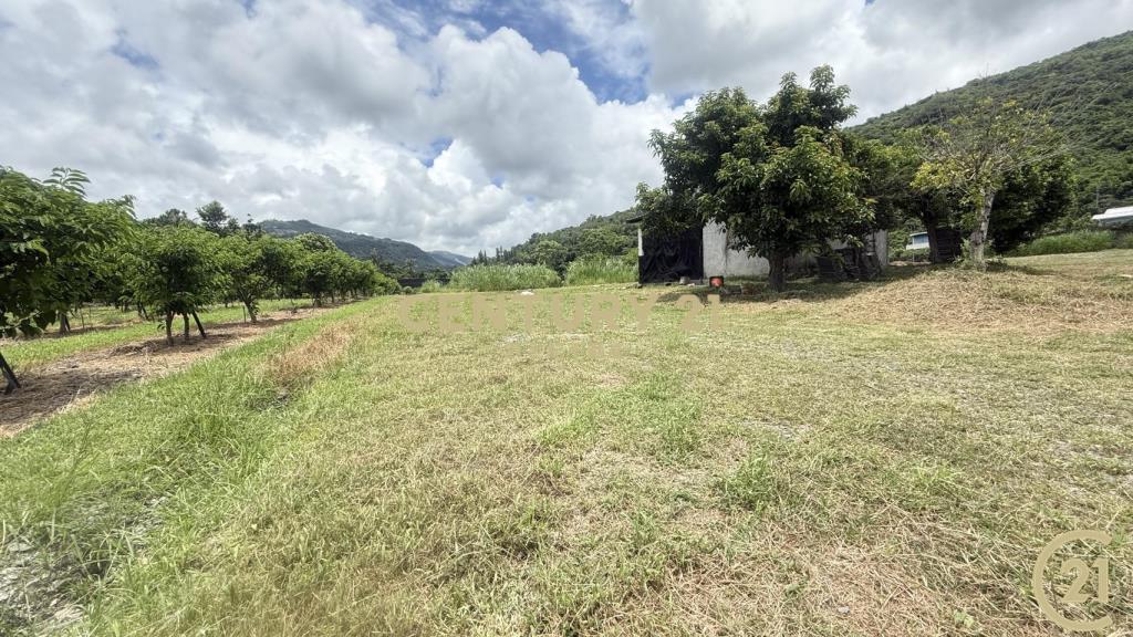 知本黃金地段都計內農地