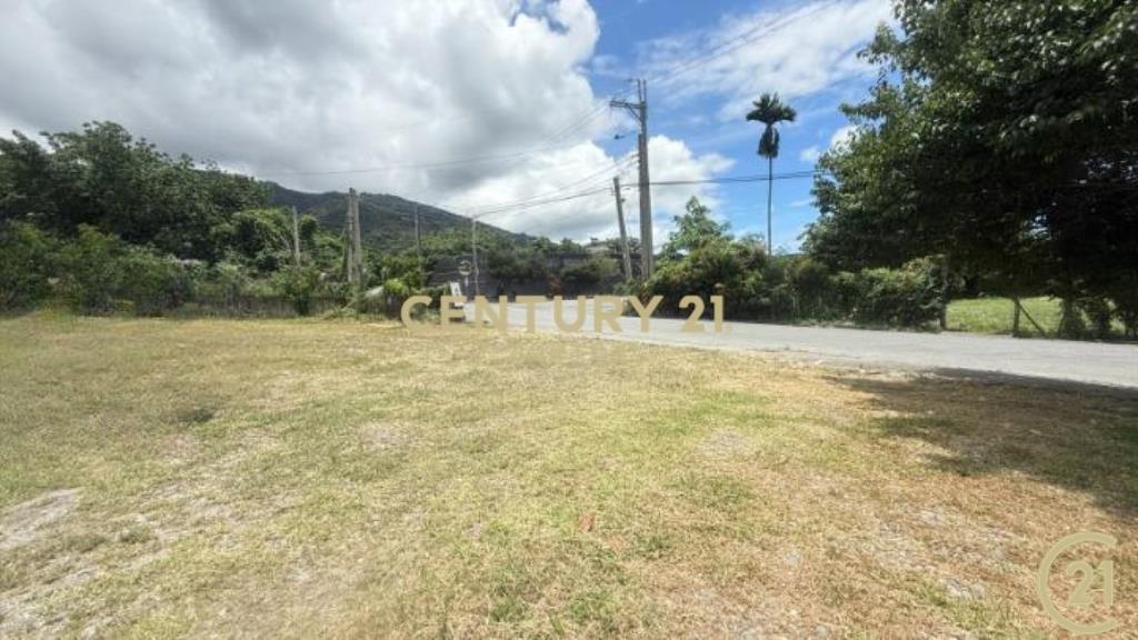 知本黃金地段都計內農地