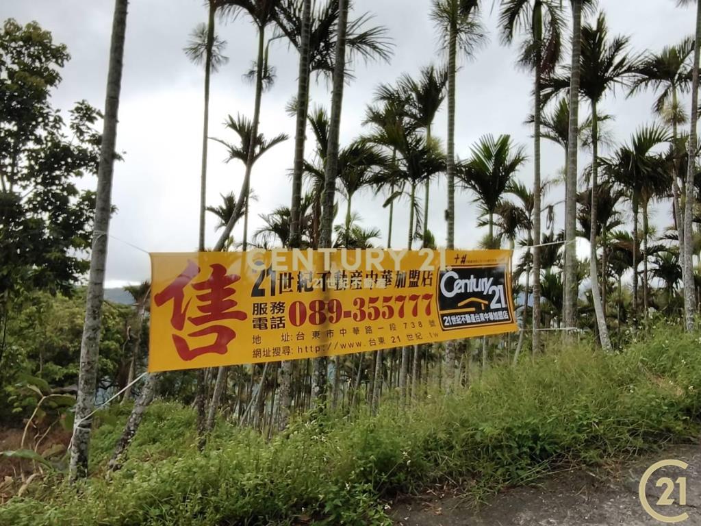 紅葉檳榔園原保農地