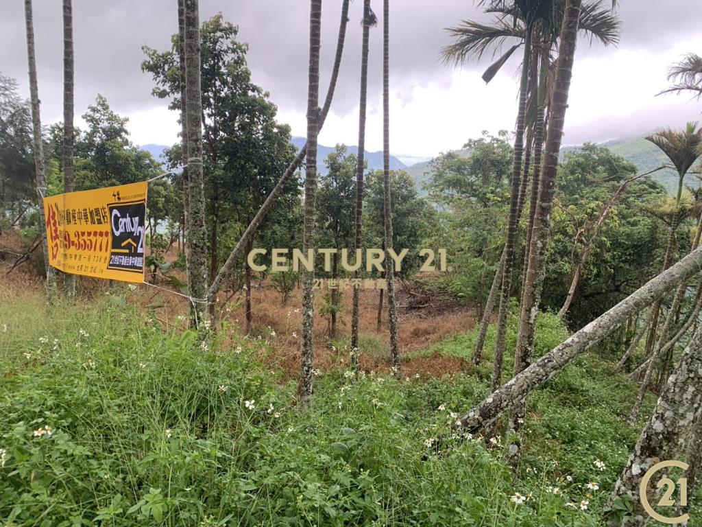 紅葉檳榔園原保農地