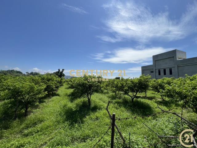 利家方正美農地A