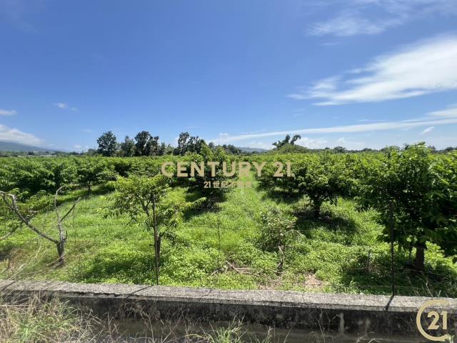 利家方正美農地B