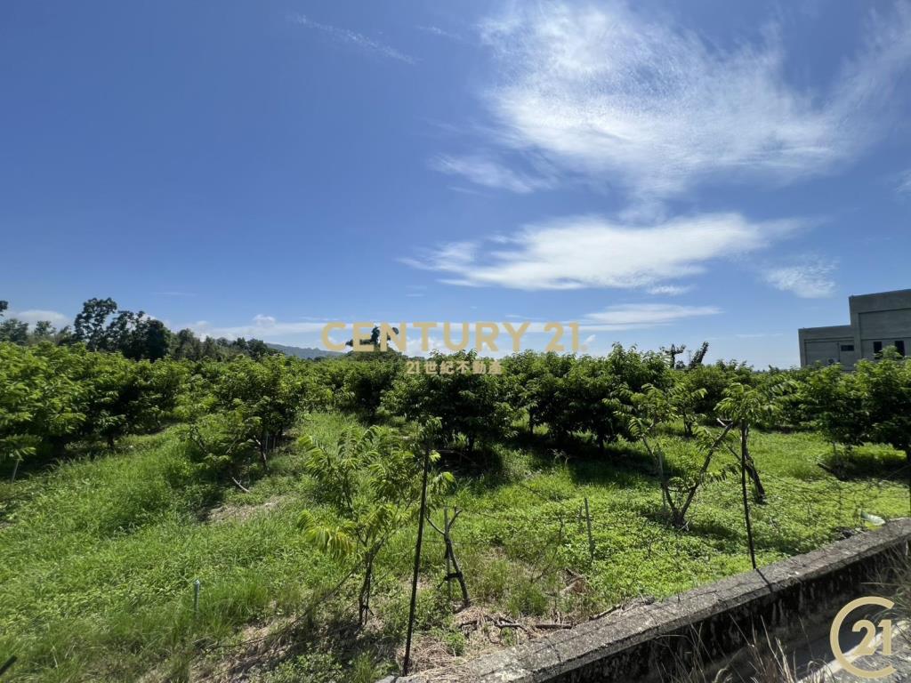 利家方正美農地B