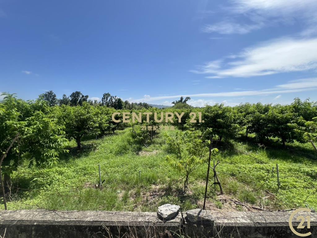 利家方正美農地B