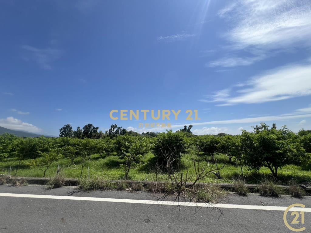 利家方正美農地B