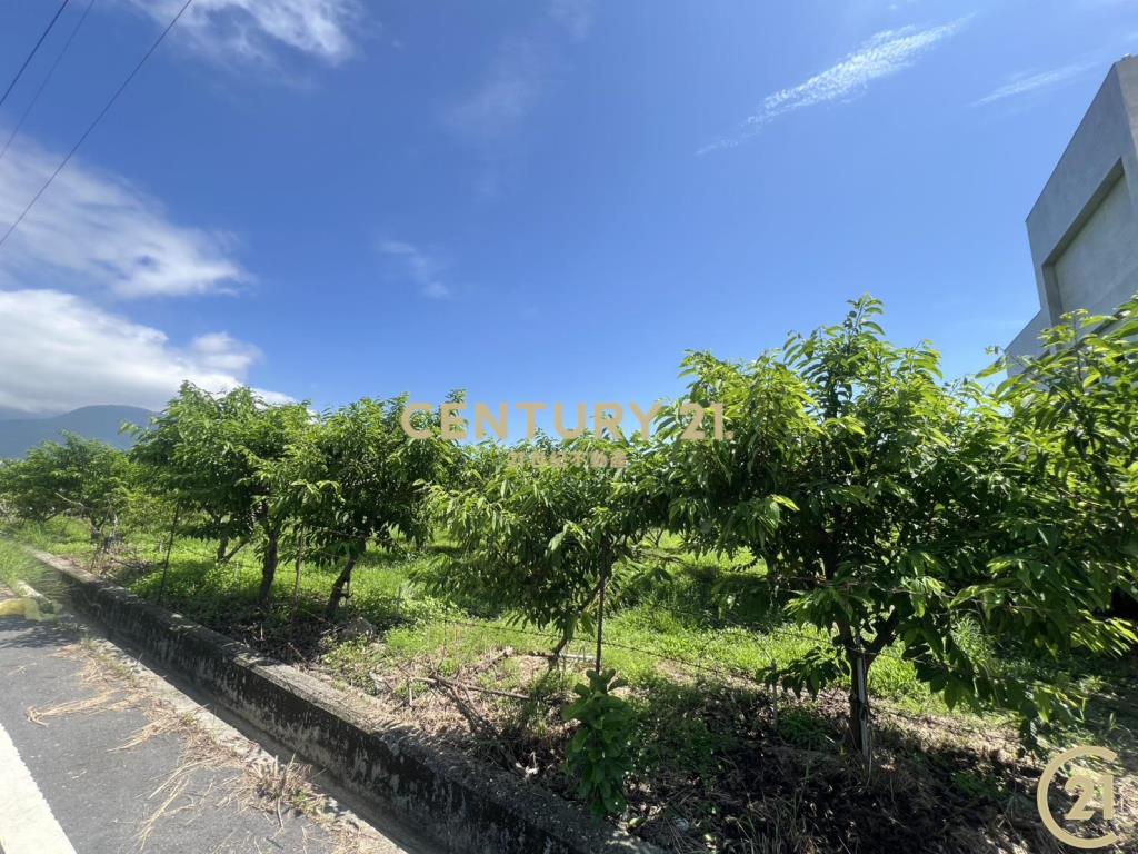 利家方正美農地B