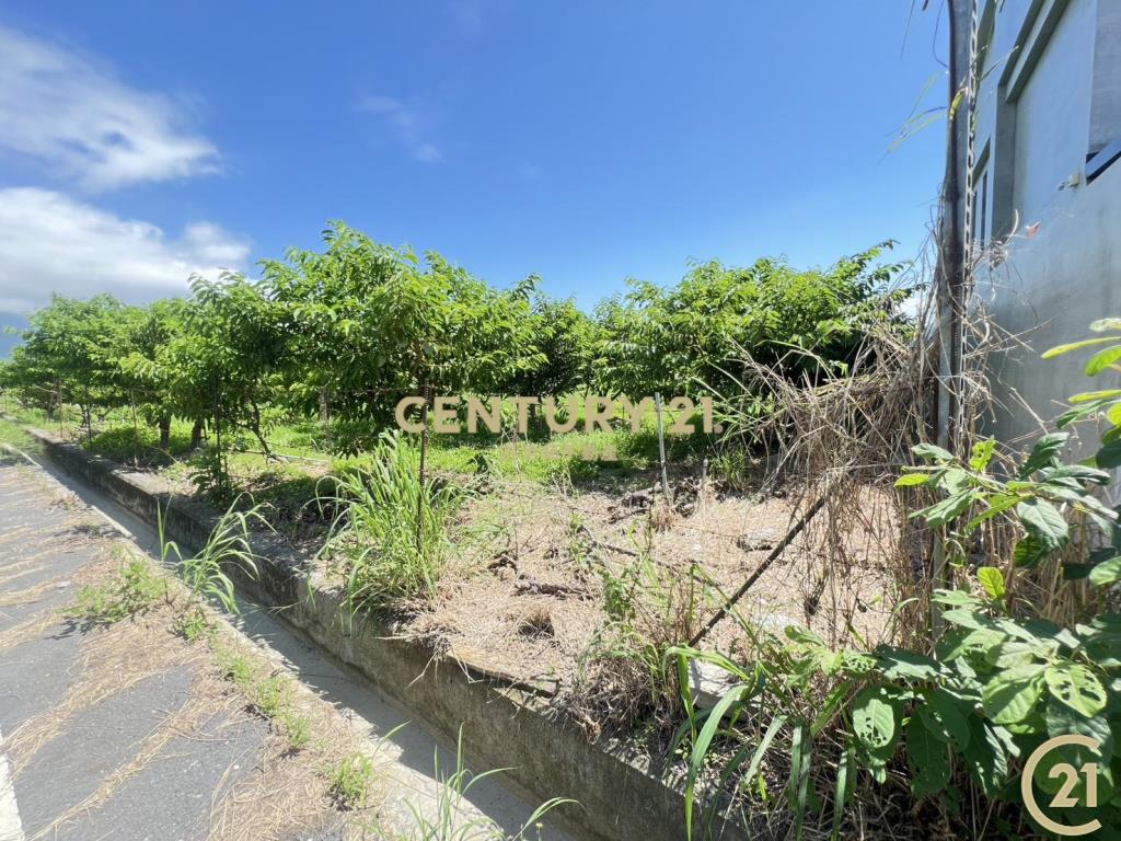 利家方正美農地B