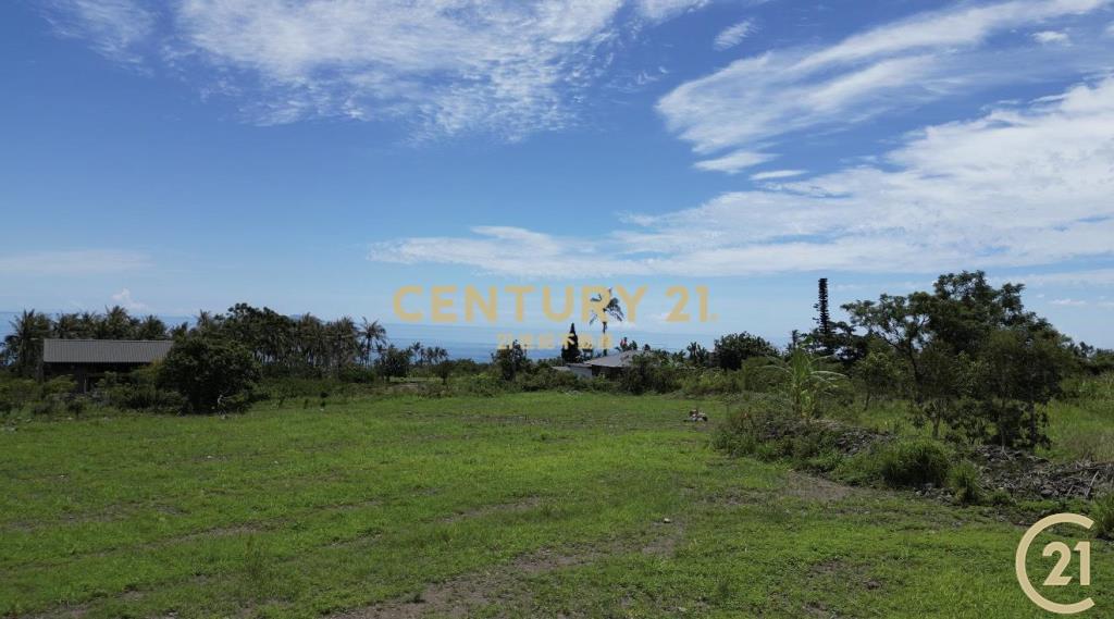 近都蘭背山面海景觀農地A