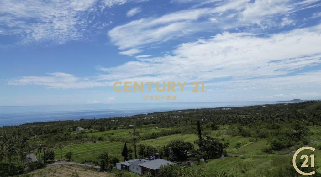 近都蘭背山面海景觀農地A